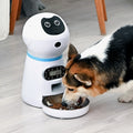 Automatic Pet Feeder - Stainless Steel Timed Dispenser